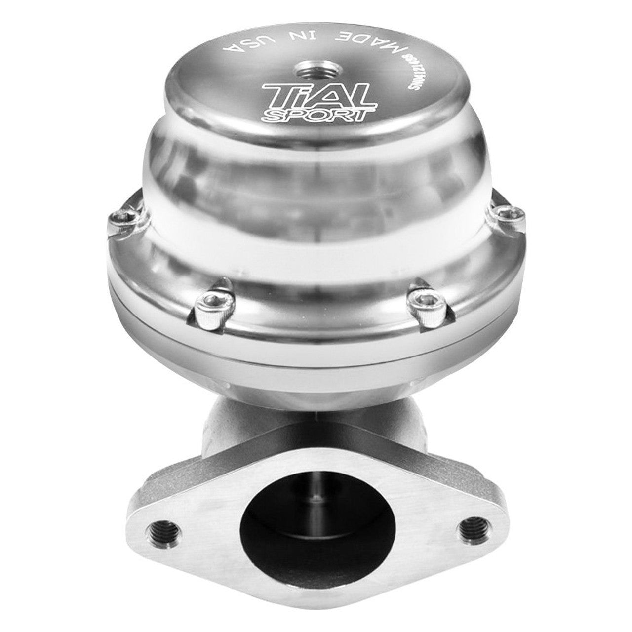 TiAL F38 Wastegate