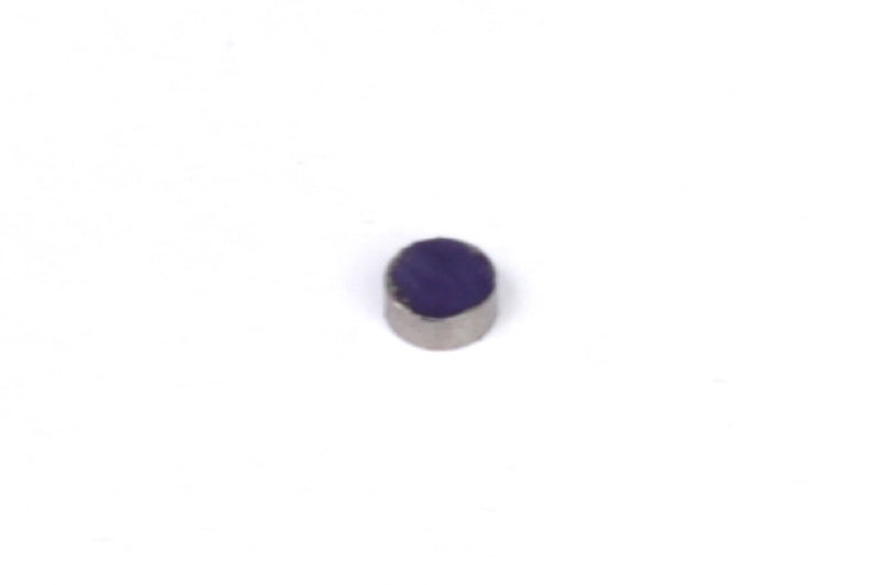 Rare Earth Magnets (5mm DIA x 2mm H)