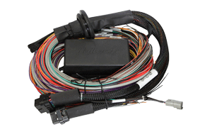 Elite ECU Universal Harnesses