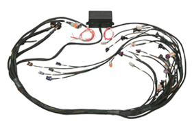 Elite ECU Terminated Engine Harnesses