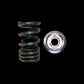 Brian Crower Honda/Acura K20A/K20Z F20C/F22C-Race/LTD Street Dual Spring & Titanium Retainer Kit
