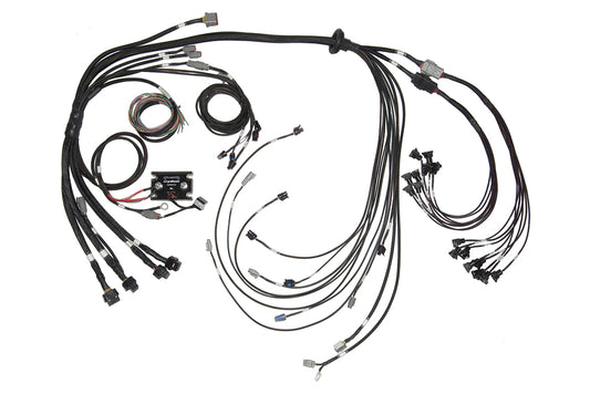 Elite 2500 & REM  16 GM SBC/BBC Terminated Harness Only