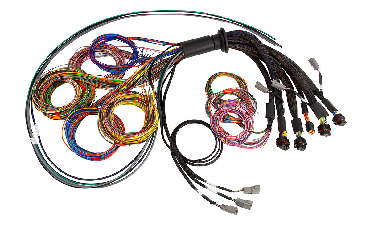Nexus R5 Basic Universal Wire-In harness - 2.5M (8')
